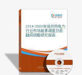 2014-2020年徐州市電力行業市場前景調查及投融資戰略研究報告