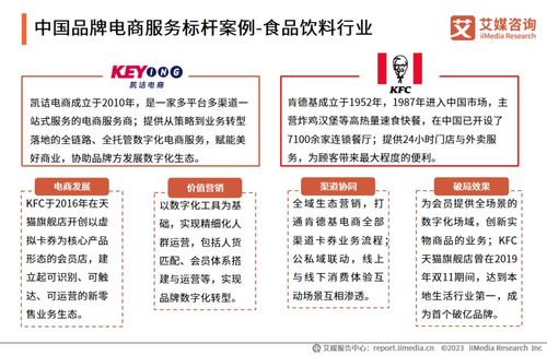 2023年中國品牌電商服務行業深度解析 艾媒咨詢研究報告揭示市場趨勢與機遇
